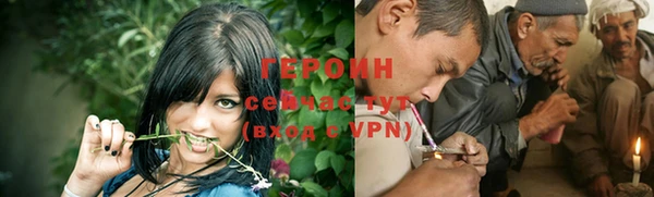 прущие грибы Верхний Тагил