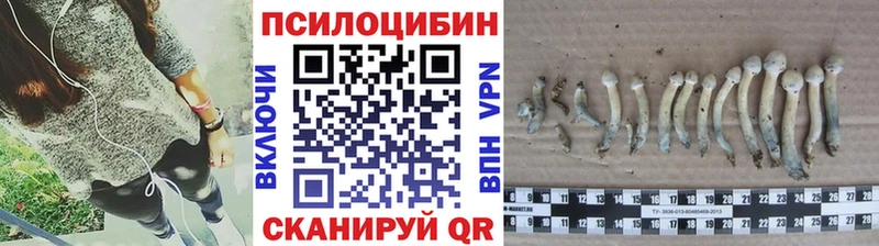 Псилоцибиновые грибы Psilocybine cubensis Пустошка